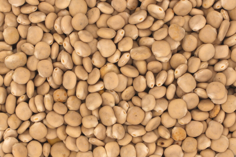 Lupinen weiß ganz bio Deutschland