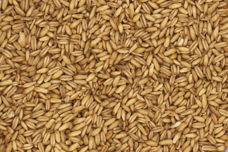 oat peeled organic