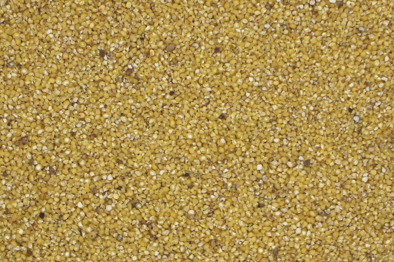 millet groats organic Europe