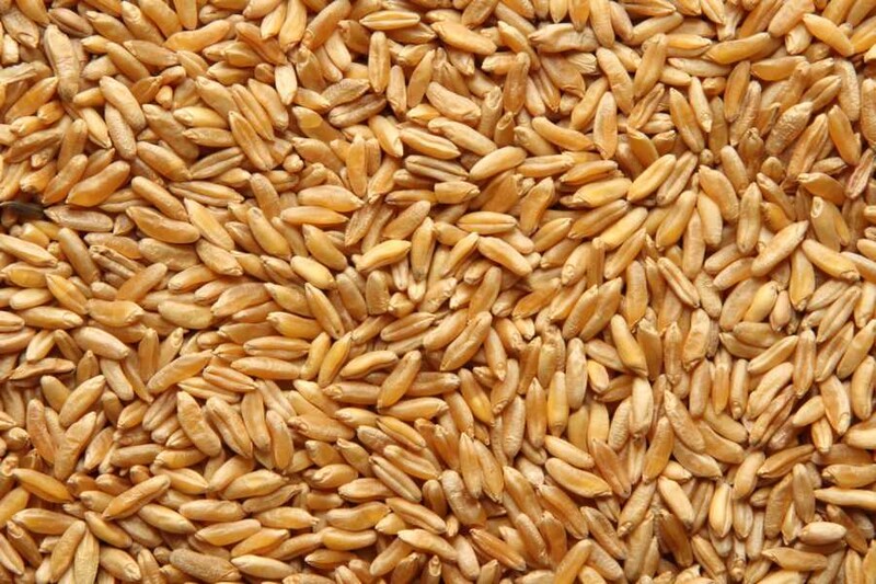 KAMUT® Khorasan Weizen bio