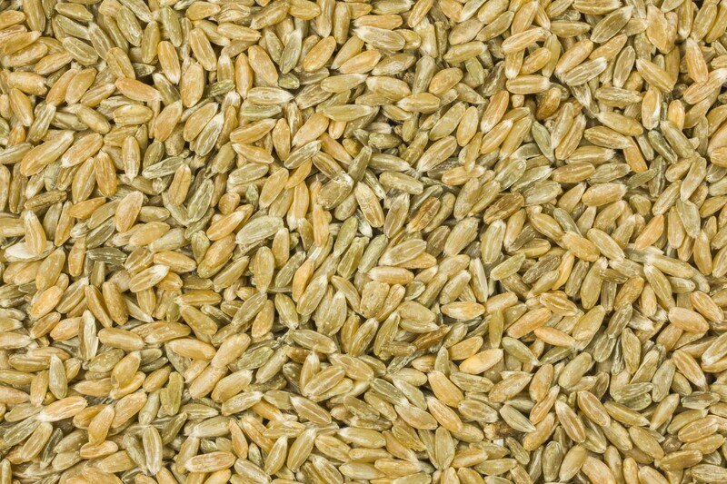 unripe spelt grain organic