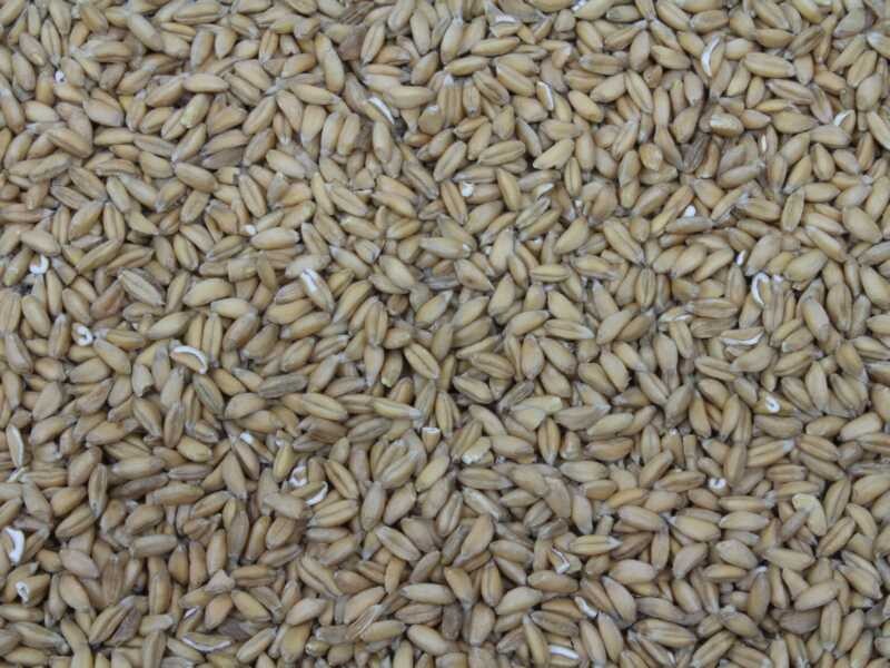 Emmer bio 25kg