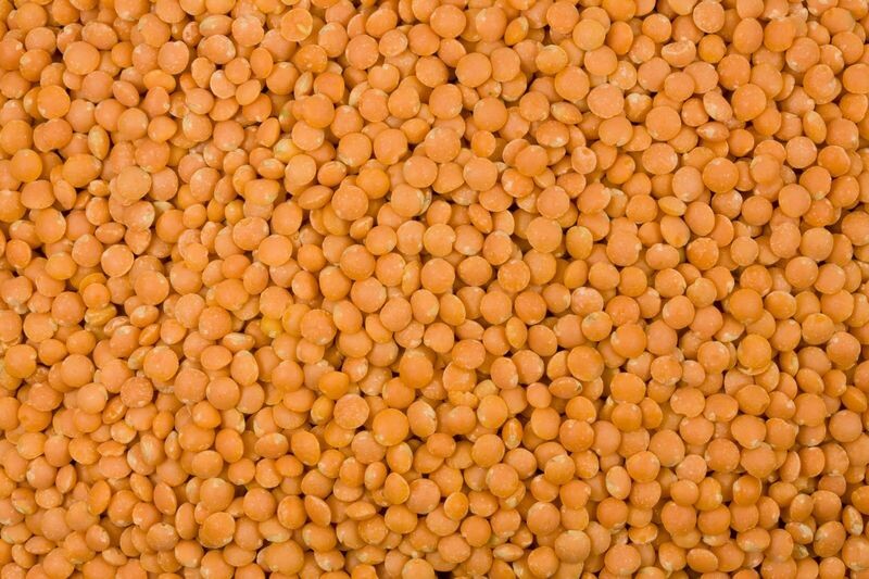Linsen rot bio
