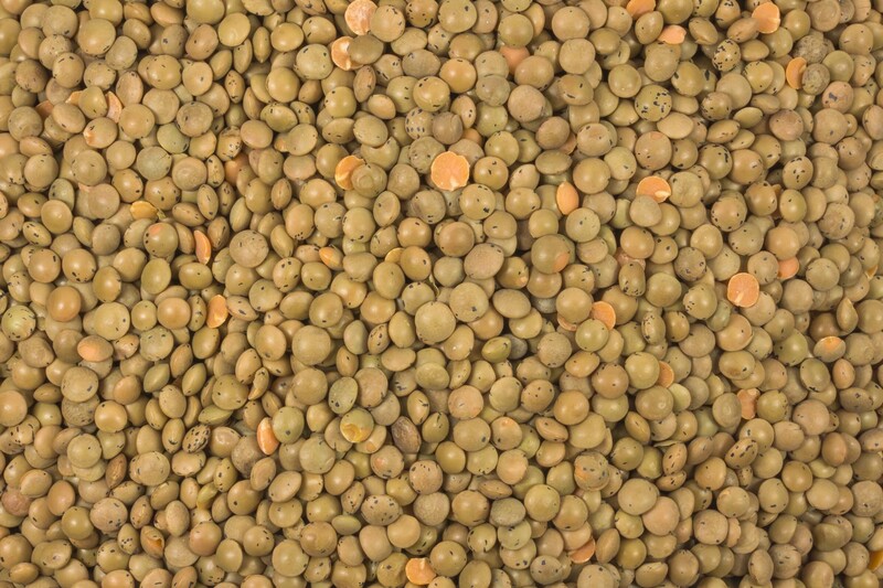 Berglinsen braun bio (Gourmet)