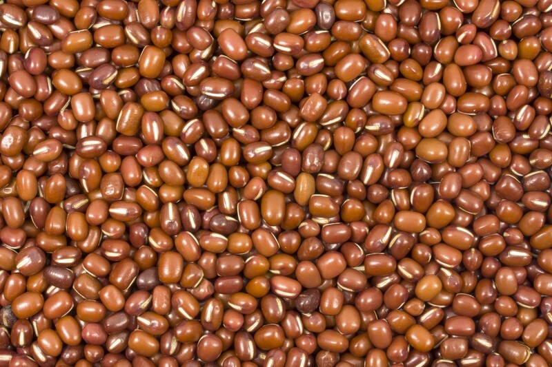 Azukibohnen bio