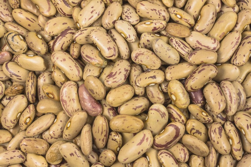 Pintobohnen (Borlotti) bio 25kg