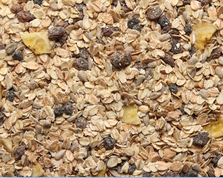 muesli blueberry organic
