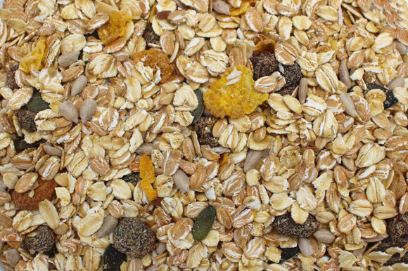 Müsli Vital bio mit Flohsamenschalen 12,5kg