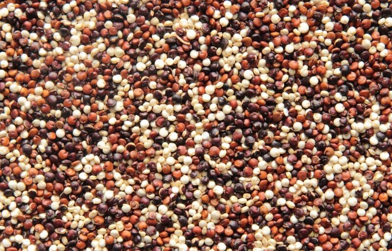 quinoa Tricolore organic