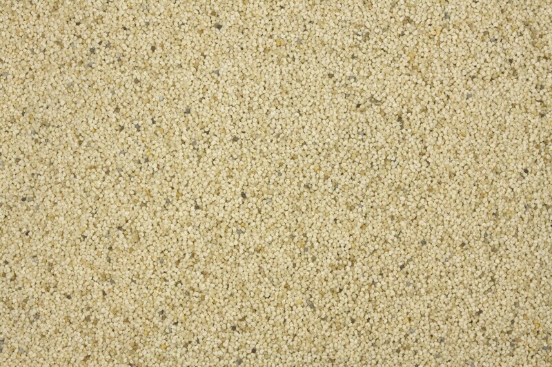 poppy seed white organic