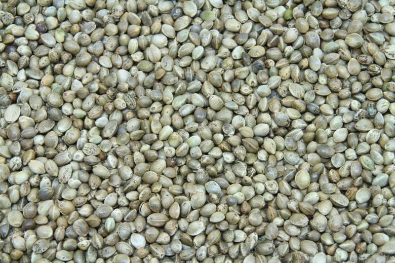 hempseed unpeeled unroasted organic