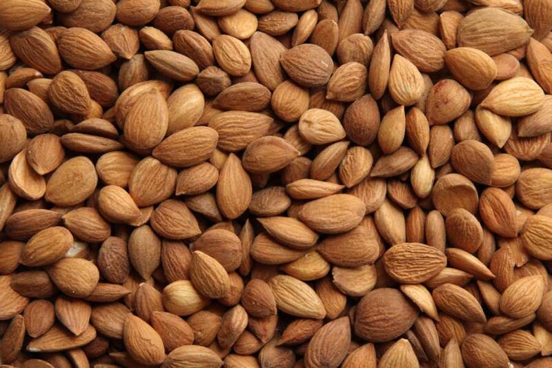 apricot kernels bitter organic for producers