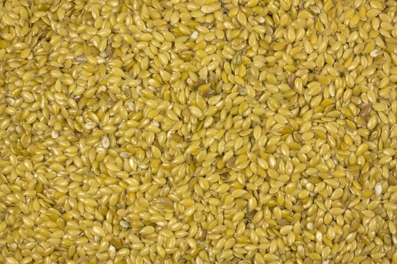 Leinsaat goldgelb bio Europa