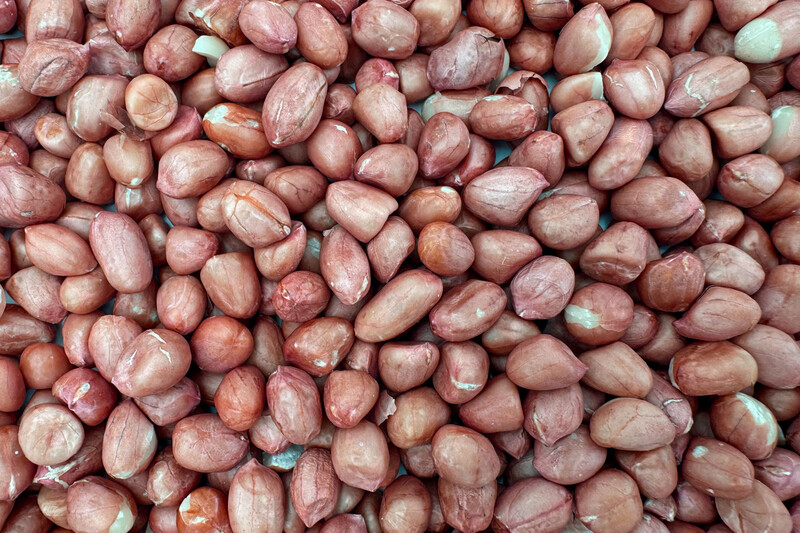 peanut kernels with skin raw organic