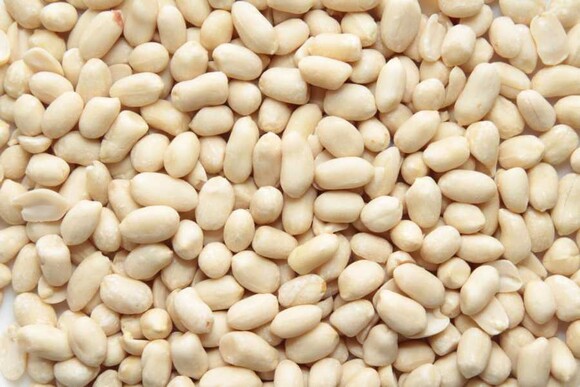 peanut kernels blanched unroasted organic