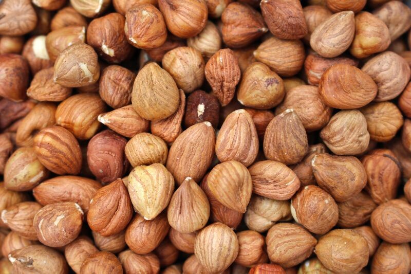 hazelnut kernels 9-11mm organic
