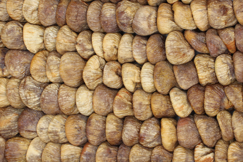 figs Protoben organic