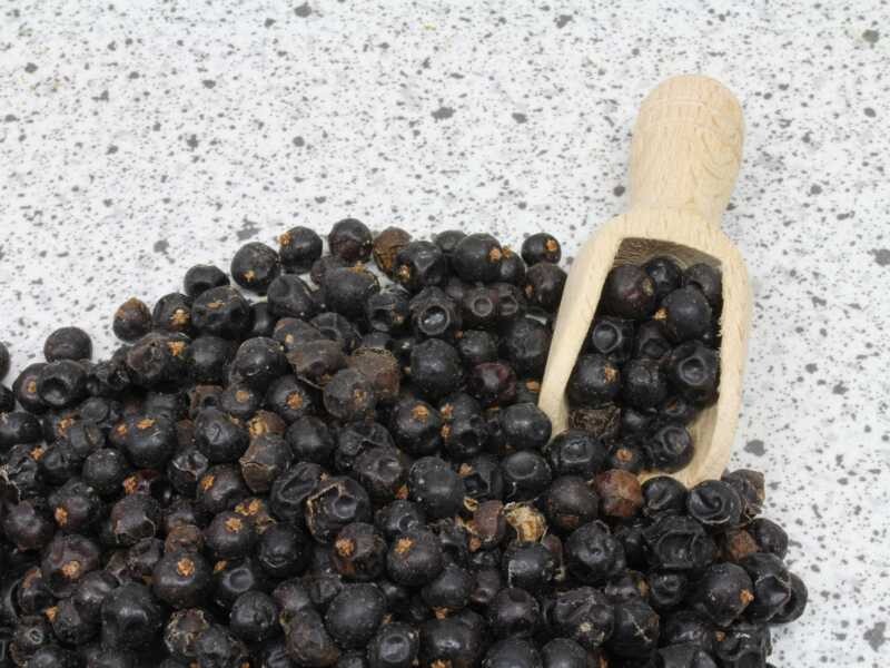 Wacholderbeeren bio