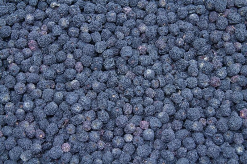 Aronia Beeren bio