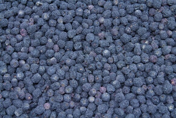 chokeberries organic