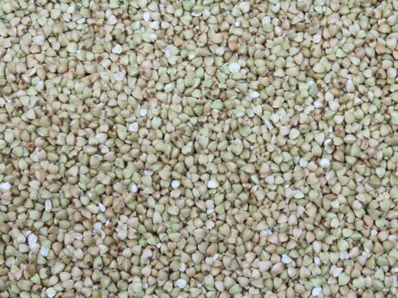 buckwheat Europe organic