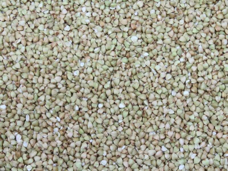 buckwheat Europe organic
