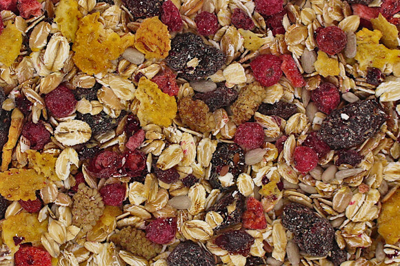 Müsli Beeren bio 12,5kg