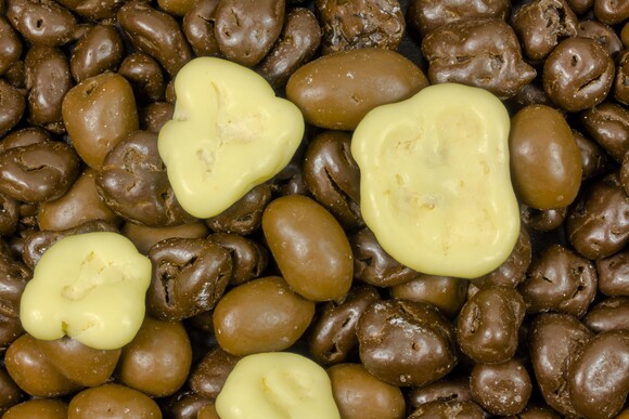 Nuss-Frucht-Mischung schokoliert bio 5kg