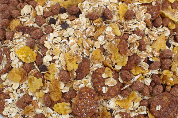 muesli chocolate organic 5kg
