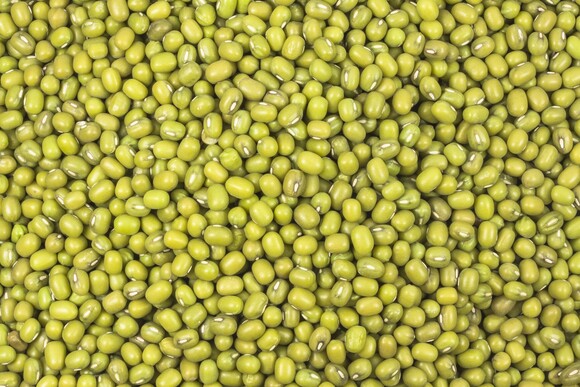 Mungbohnen bio 5kg