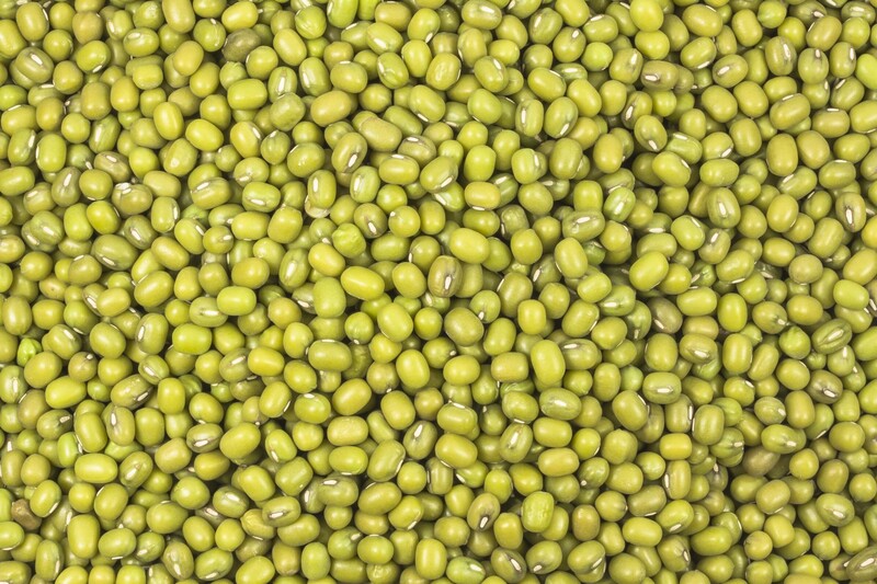 Mungbohnen bio 5kg