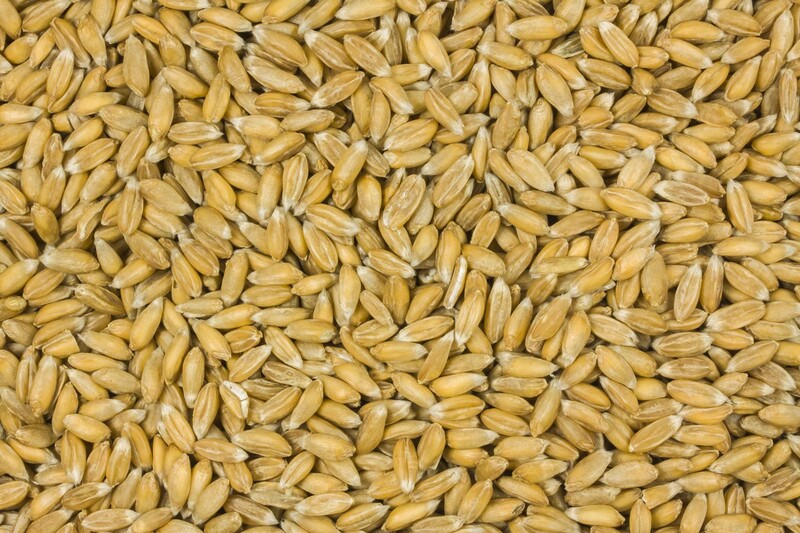 Dinkel bio 6x500g