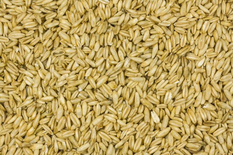 Nackthafer bio 6x500g