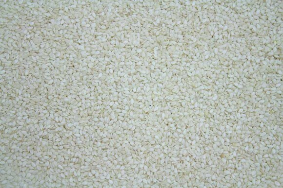 sesame seed white hulled organic