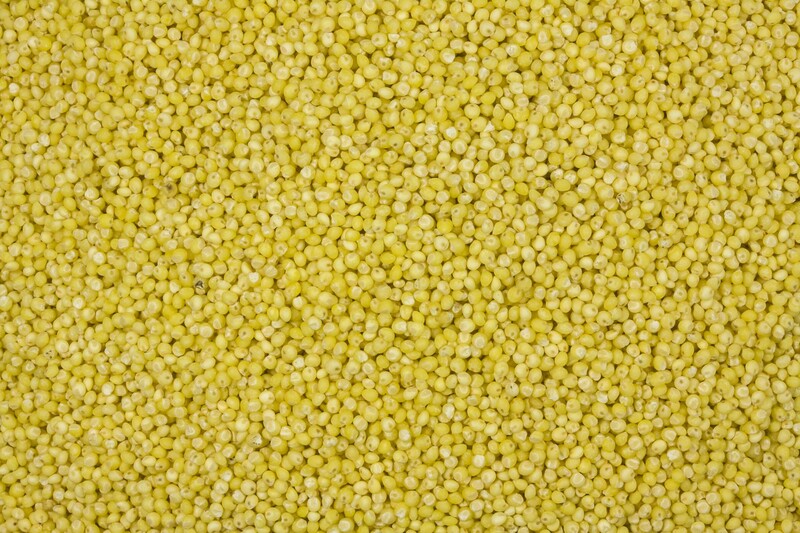 Hirse geschält bio 5kg