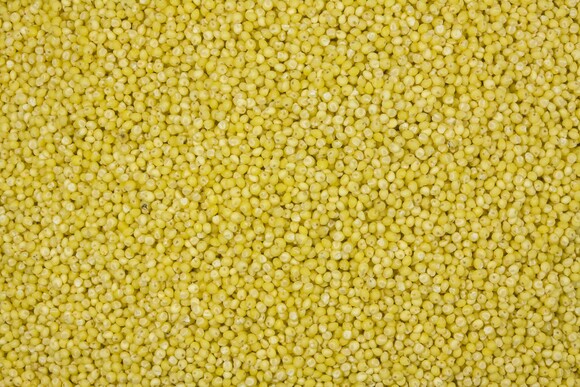 millet organic