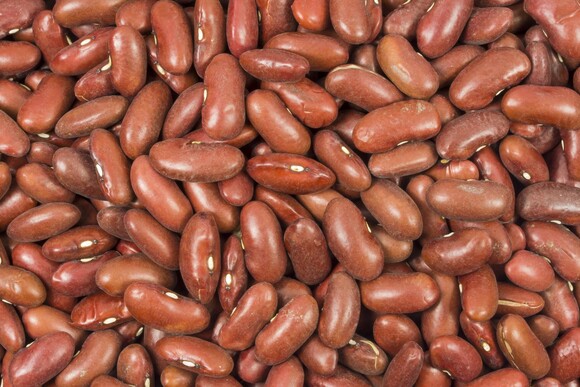 kidney beans organic 6x500g