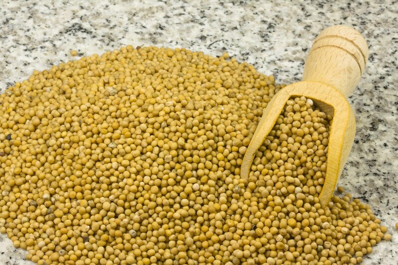 Gelbsenfsaat ganz bio 1kg