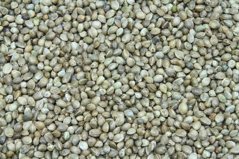 Hanfsamen ungeschält ungeröstet bio 5kg