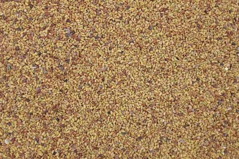 Alfalfa bio 1kg
