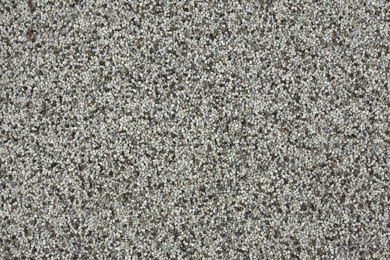 Blaumohn bio 5kg