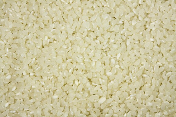 Rundkornreis weiß bio (Milchreis) 5kg