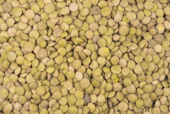 Linsen braun bio (Teller, Laird) 5kg