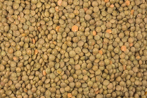 Berglinsen braun bio (Gourmet) 5kg