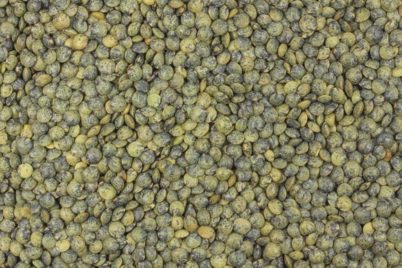 Linsen grün (marmoriert) bio 5kg