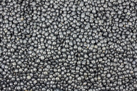 Linsen schwarz bio (Beluga) 5kg
