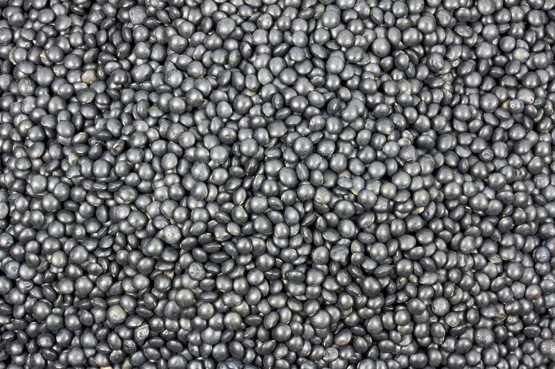 Linsen schwarz bio (Beluga) 5kg