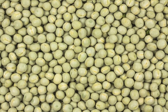 Erbsen grün bio 5kg