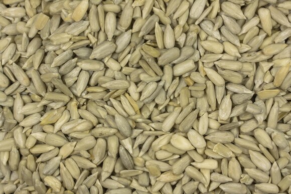 sunflower seeds organic 1kg