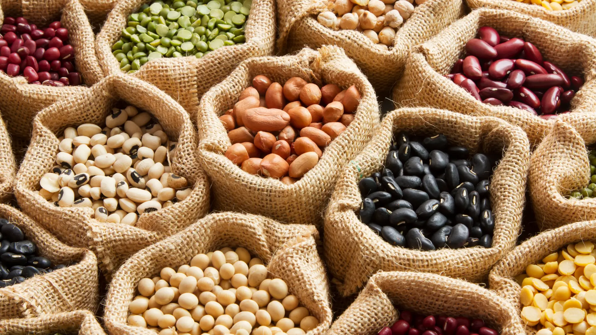 Various types of legumes in jute bags